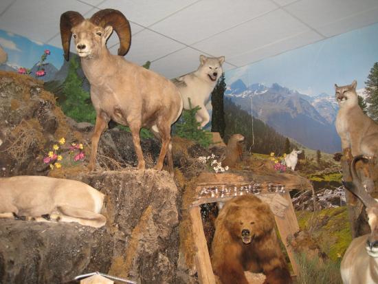 Yellowstone Trading Post